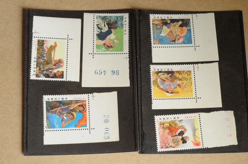 T17 在广阔天地里 全新原胶上品 带双边部分版号 个人珍藏邮票