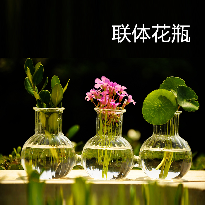 mxmade创意连体玻璃花瓶 条纹水培花器家居摆设 装饰品 七折包邮
