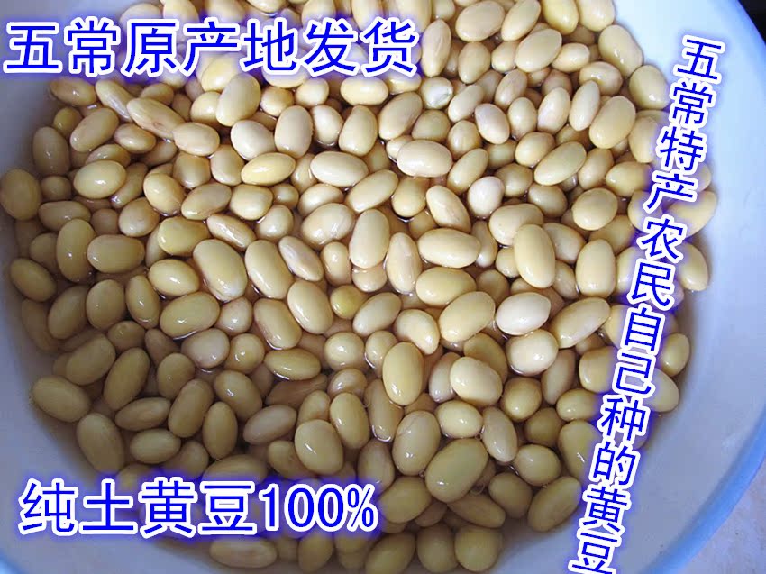 五常绿色有机食品黄豆非转基因有机食品笨黄豆农家特产黑龙江特产