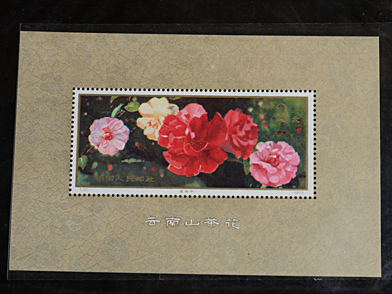T37M 云南山茶花 小型张 新中国邮票 原胶全品 个人珍藏 花卉专题
