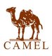 Camel 时尚鞋店