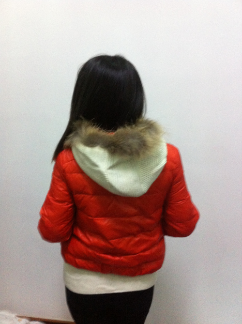 2013专柜正品艾琳娜2件套短款羽绒服E12WDA118保暖衣服
