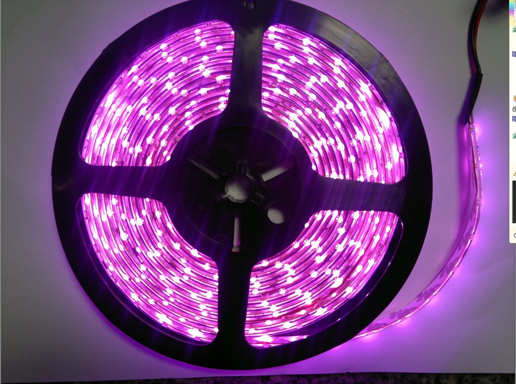 LED灯带3528-60黑底粉色每米10元5米一卷