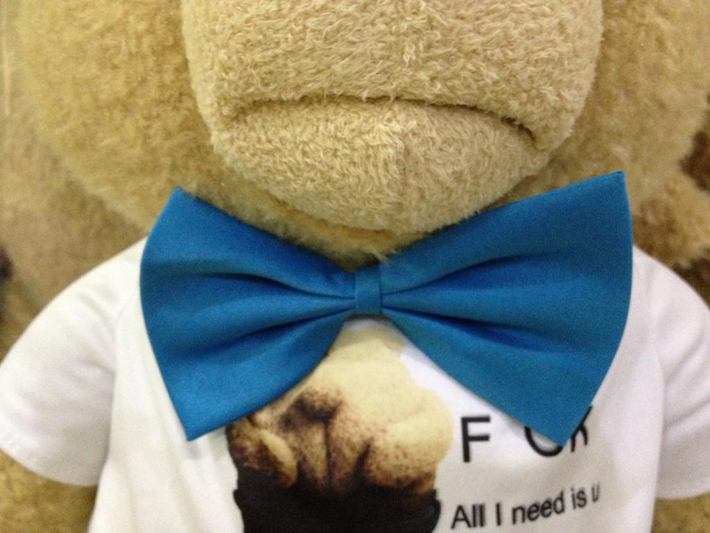 正品ted熊 美国正版电影泰迪熊 毛绒生日礼物公仔抱抱熊 领结