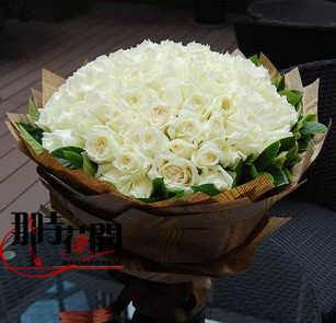 青岛鲜花速递市区包邮白玫瑰99朵特价鲜花生日礼物七夕情人节鲜花