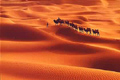 沙漠驮舟：新疆特产 干果  棉被