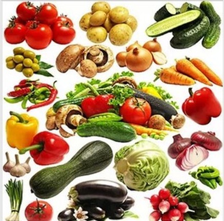 【天天特价】四季播种蔬菜种子套餐 10个品种随机蔬菜种子包邮