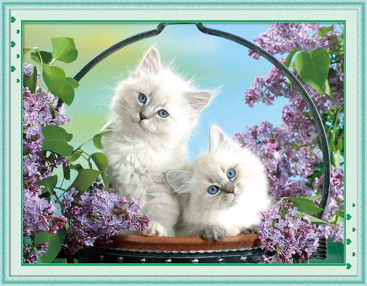 3D5D精准印花蒙娜丽莎、KS十字绣 守护可爱的小猫最新款小幅包邮