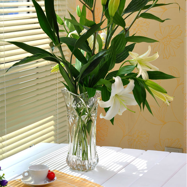 台面花瓶玻璃花瓶 仿真花 花瓶欧式 家居饰品 特价花器富贵竹花瓶