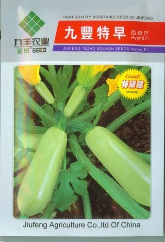 优质苗圃阳台彩色袋装蔬菜种子低价批发九丰特早西葫芦约20克
