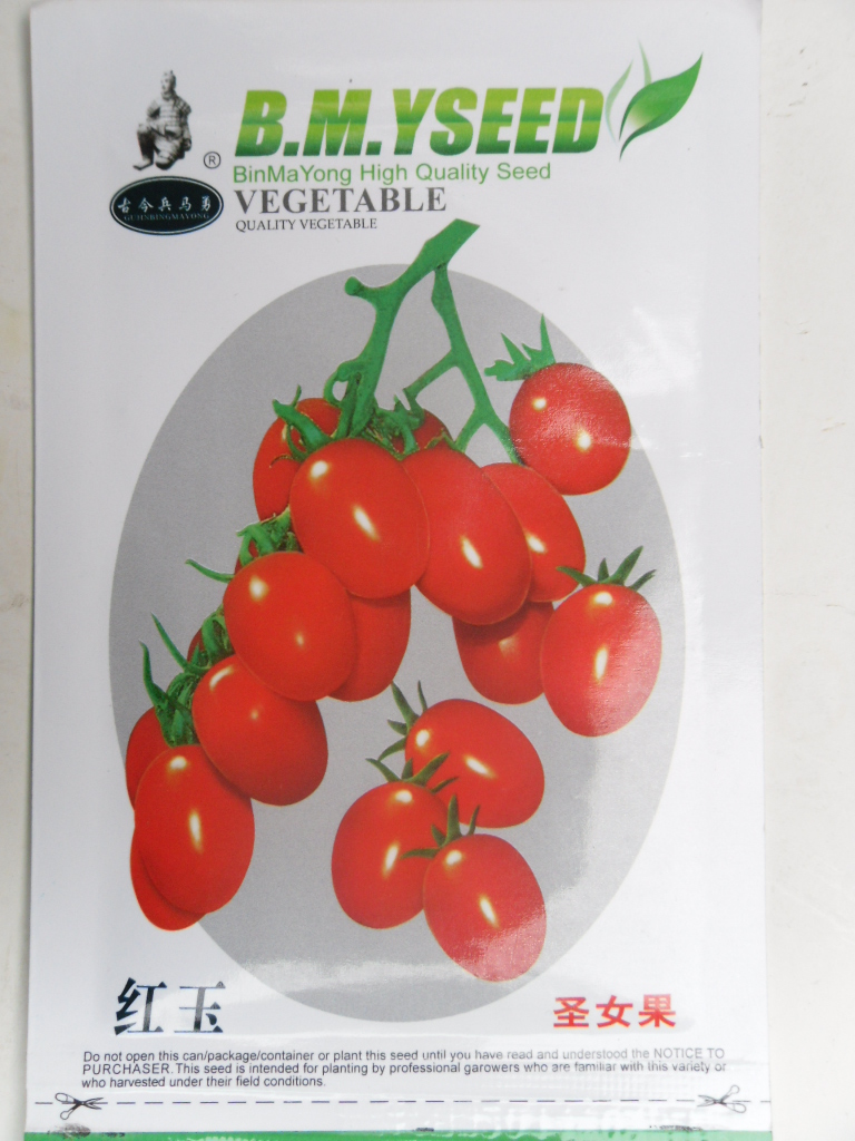 红圣女小西红柿种子水果小番茄樱桃番茄蔬菜种子庭院植物闽皇春季