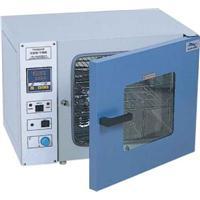《批发》一恒干燥箱 一恒鼓风干燥箱 一恒电热干燥箱DHG-9030A