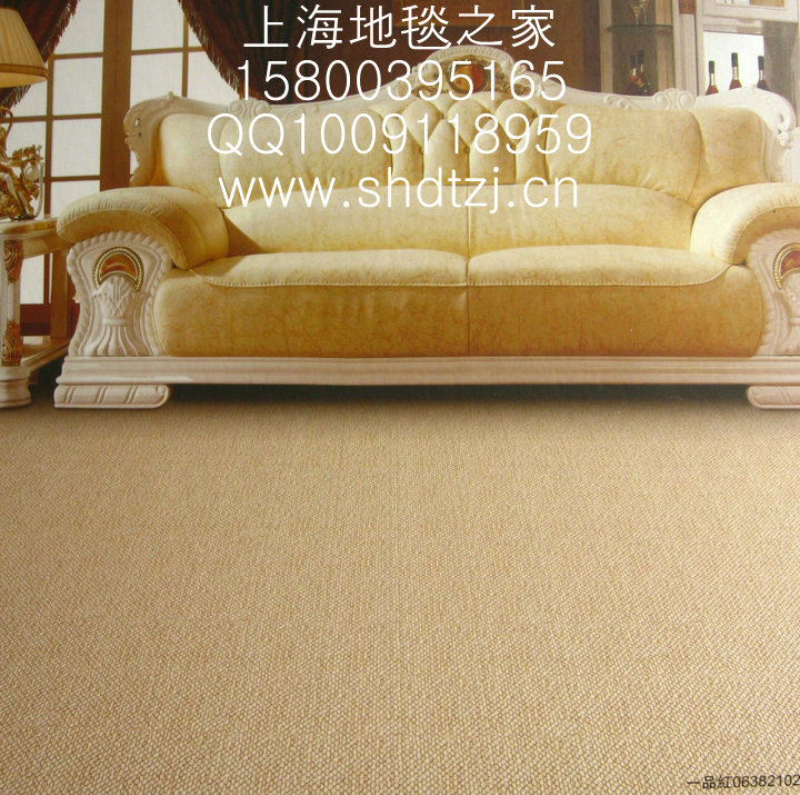 满铺地毯客厅/卧室/满铺地毯家用/羊毛地毯 高档家用地毯一品红