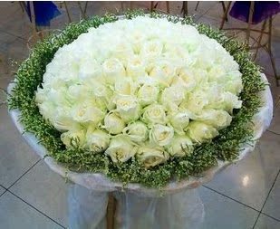 七夕52朵白玫瑰花鲜花速递上海济南成都武汉合肥广州北京全国送花