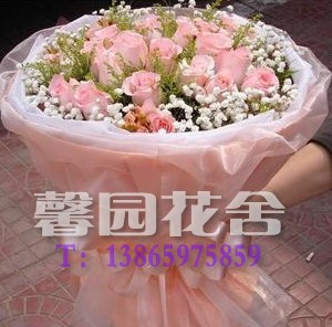 19朵粉玫瑰花束七夕情人节鲜花速递上海广州济南合肥深圳全国送花