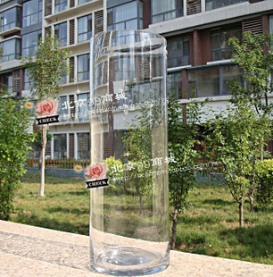 【1560圆筒】玻璃透明花瓶/鱼缸/婚庆/水培植物/插花/高60cm直筒