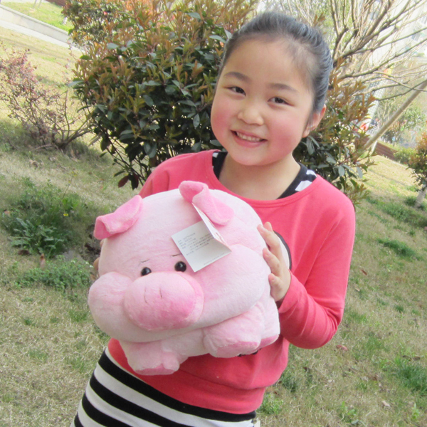 儿童礼物 毛绒玩具布娃娃 粉红猪猪创意玩偶公仔 生日礼物