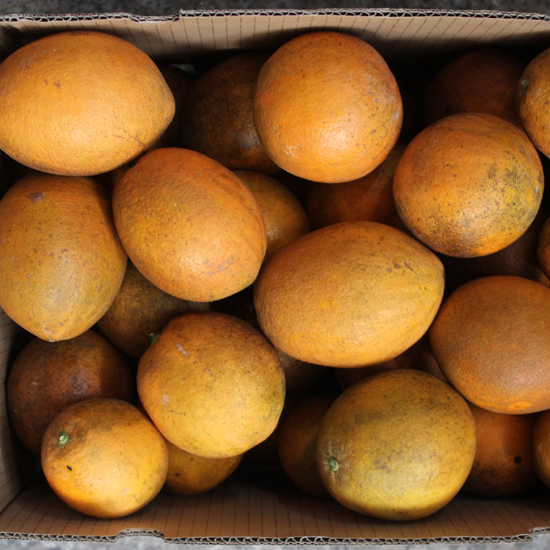 江西特产赣南脐橙孕妇儿童新鲜水果橙子（特价果）10斤装寻乌特产