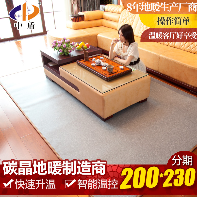 中盾和暖宝宝电热毯取暖地垫移动地暖垫碳晶电热垫暖脚200*230