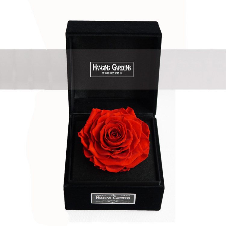 进口永生花礼盒巨型红玫瑰西安鲜花同城速递 圣诞生日情人节礼物