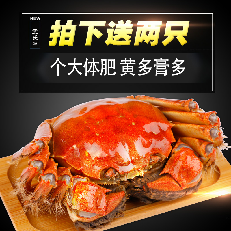 预售 武氏阳澄湖大闸蟹公4.1-4.5母2.9-3.2两8只礼盒装鲜活螃蟹