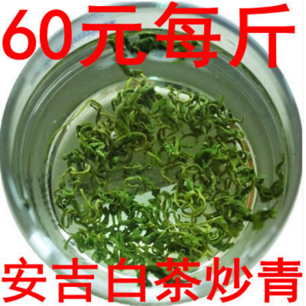 现货2016新茶高山云雾绿茶/安吉白茶炒青/珍稀白茶全国包邮