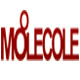 moolecole热卖专卖店