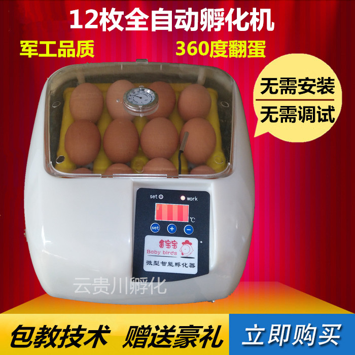 孵化机全自动家用小型家用浮化机孵化设备小鸡卵化机鸭孵化箱
