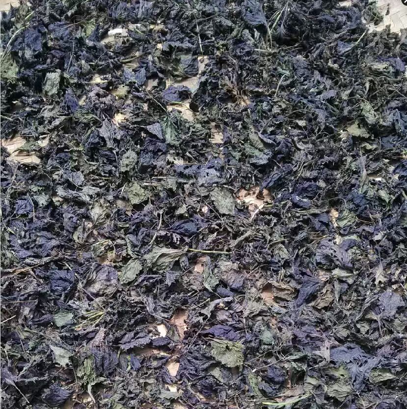 紫苏干 新鲜紫苏叶干 天然野生农家绿色 自然晒干 香料 去腥 调味