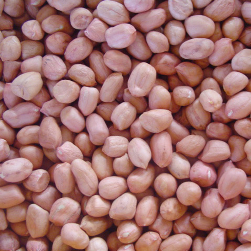 农家正宗天然绿色有机食品纯手工精选新鲜生的粉皮花生米散装500g