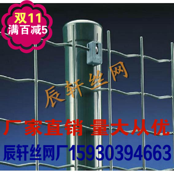 3.0mm*6cm*1.8米 耐用荷兰网 铁丝网 围栏防护网护栏养殖网电焊网