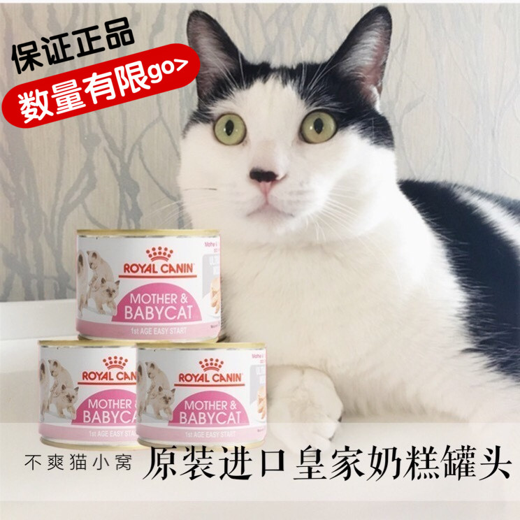 【现货】原装进口正品皇家奶糕罐头离乳期幼猫孕猫BB罐195g*12罐
