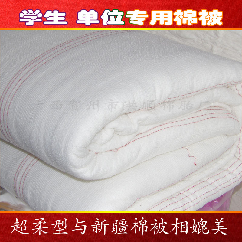 媲美新疆棉被宾馆被春秋被棉絮棉胎垫被盖被学生被芯6斤特价