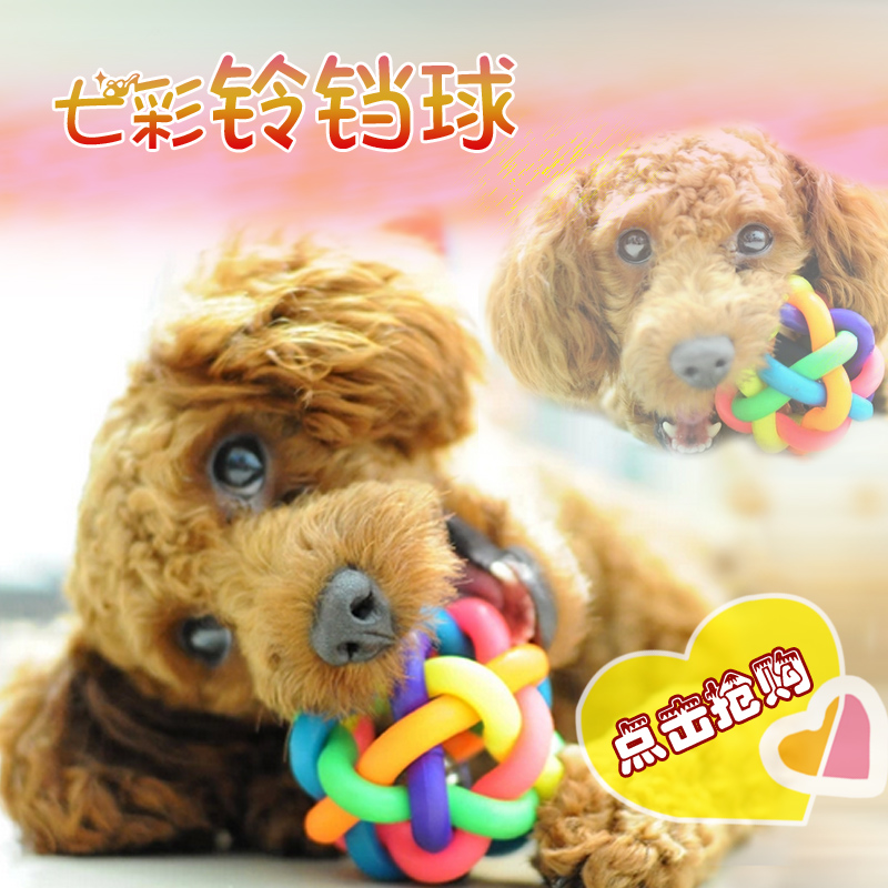 泰迪狗狗玩具 耐咬玩具球猫玩具小型犬宠物玩具 发声球磨牙七彩球