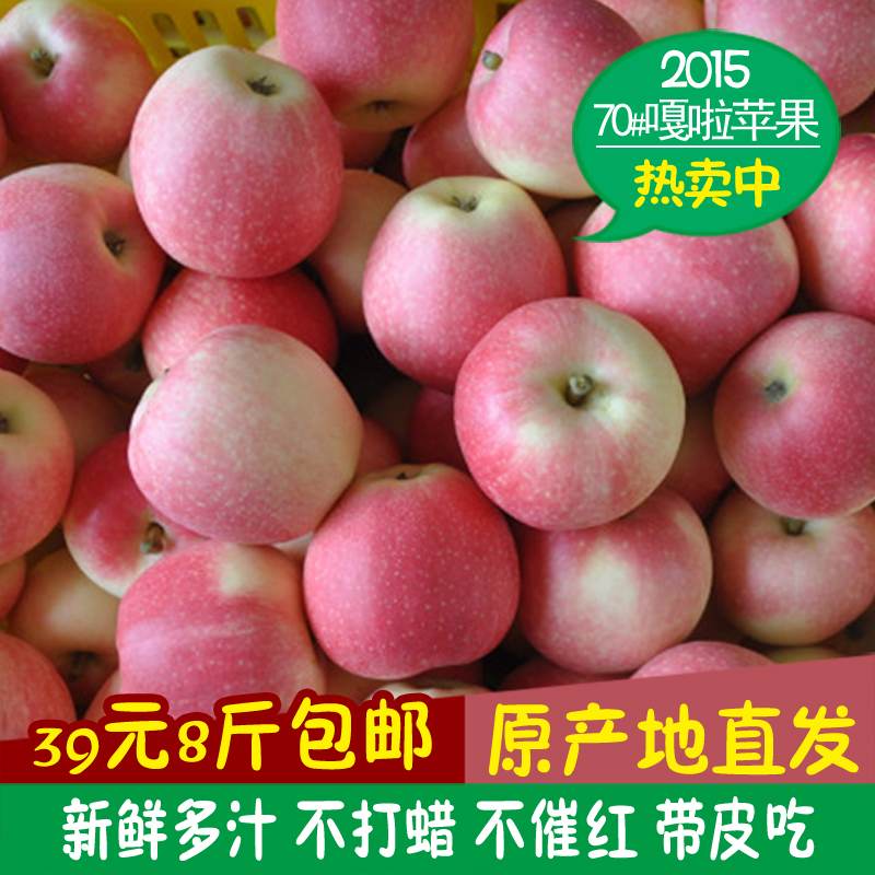 【万荣有机嘎啦苹果】2015年新鲜嘎啦苹果8斤原产地直发包邮