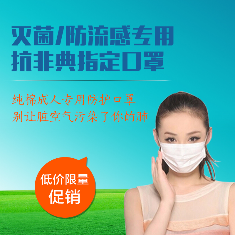 PM2.5吸清新口罩 防雾霾防尘沙流感透气成人女男孕妇纯棉春夏口罩