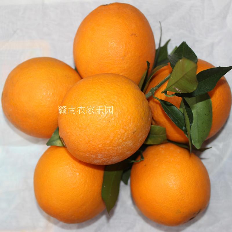 江西赣南脐橙寻乌橙子孕妇新鲜水果标准果九省包邮20斤特产超值