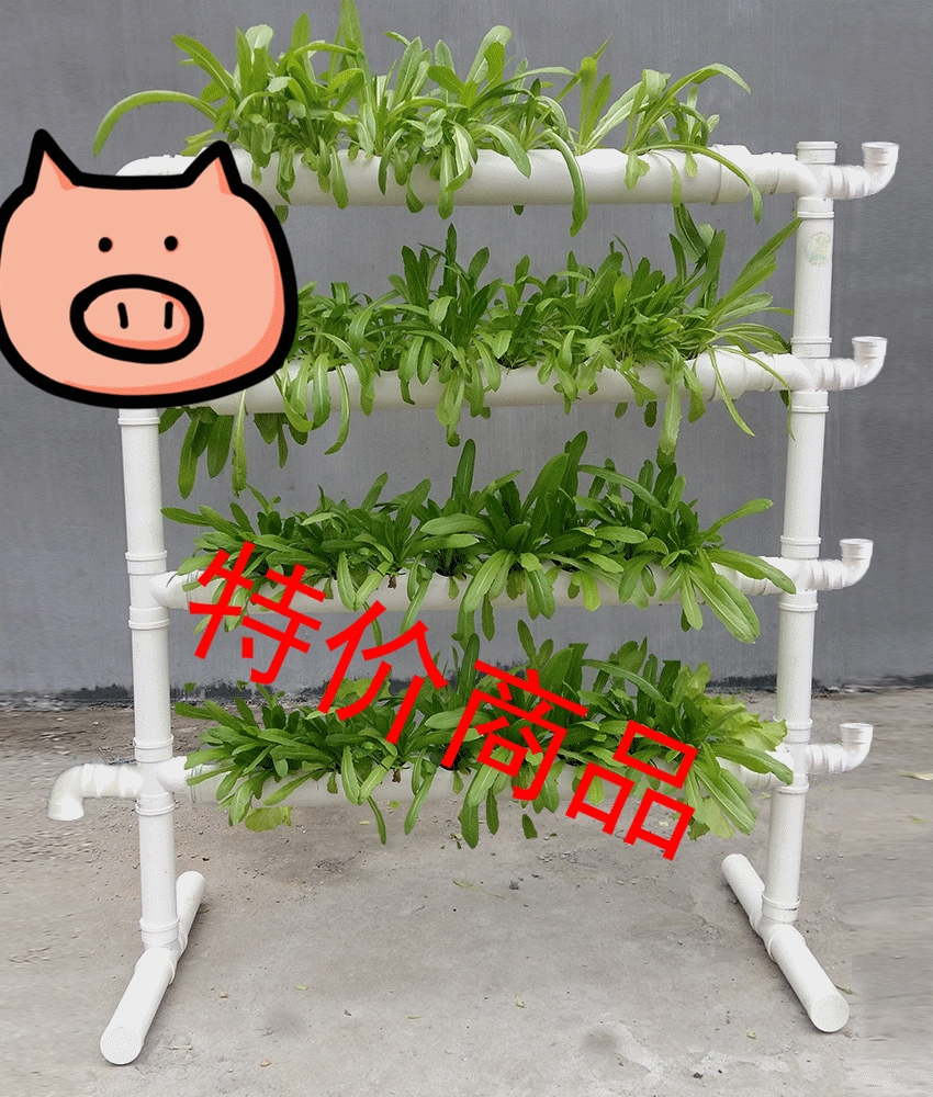 阳台管道种植 室内种植土栽培家庭菜园阳台种菜机无公害蔬菜