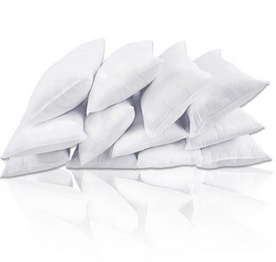 标配枕芯 枕头珍珠棉枕芯超柔软枕心 枕芯 特价 一对拍2只