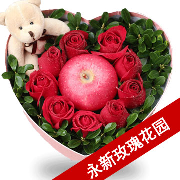 圣诞节鲜花苹果红玫瑰礼盒永新县同城速递永新永丰吉安特价