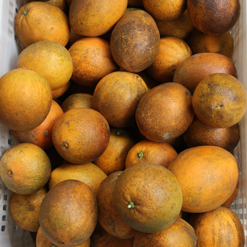江西赣南脐橙特产寻乌甜橙子新鲜水果现发丑果10斤乌橙
