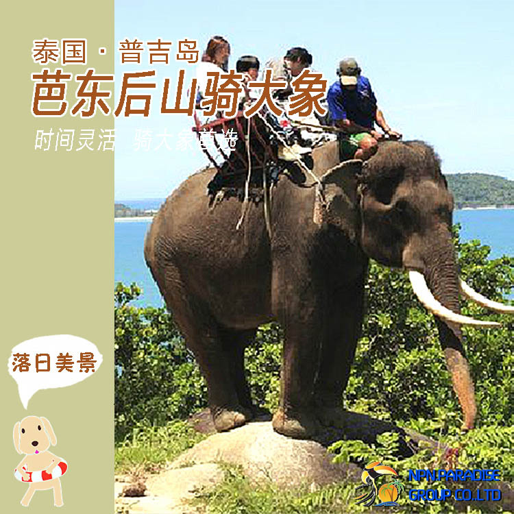 泰国NPN 普吉岛芭东骑大象 丛林后山骑大象 整点出发可选日落行程
