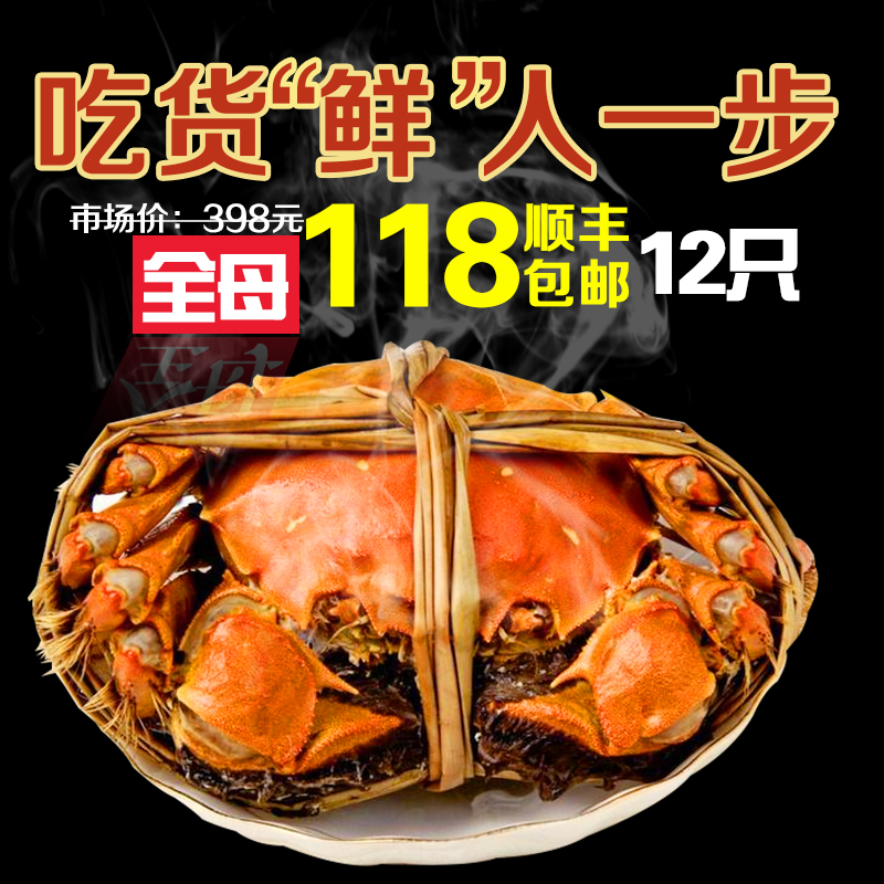 【全母多送4只】现货阳澄湖六月黄大闸蟹螃蟹2.1-2.4两8只装特价