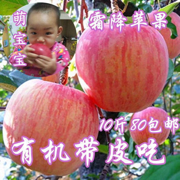 新鲜水果10斤80包邮烟台特产纯天然原生态栖霞红富士苹果比王小二