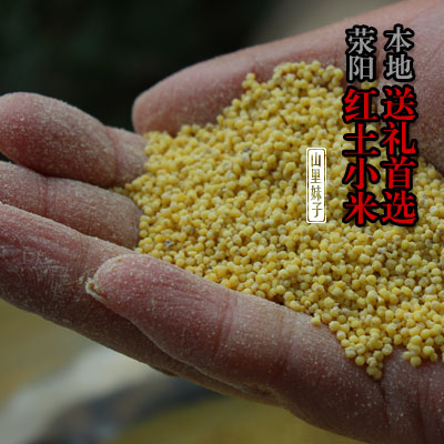 农家自产自销荥阳红土小米新米油多吃的养胃小黄米有机杂粮月子米
