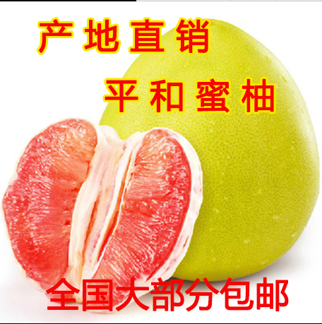 福建平和琯溪红肉柚子 红心柚子特产红肉蜜柚新鲜水果5斤装 包邮