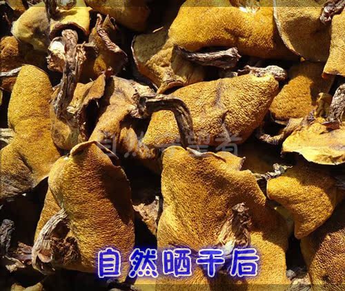 辽宁朝阳松蘑菇干货野生东北特产野生送蘑菇粘团子满150包邮