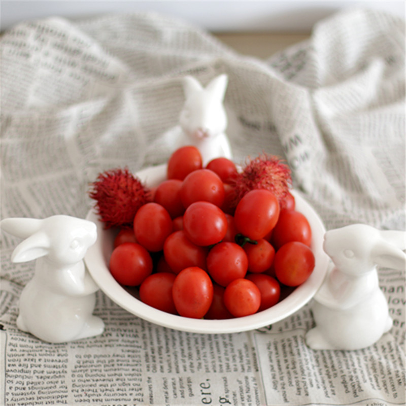 水果盘果盆卡通兔客厅欧式现代创意家用白瓷餐具干果盘简约糖果盆