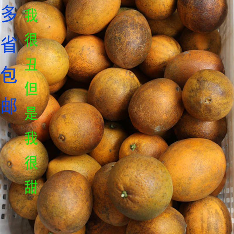 江西赣南脐橙特产寻乌甜橙子新鲜绿色水果30斤花皮果丑果现摘现发
