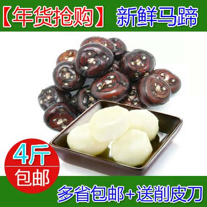 【天天特价】荔浦新鲜马蹄荸荠地栗乌芋水果4斤装